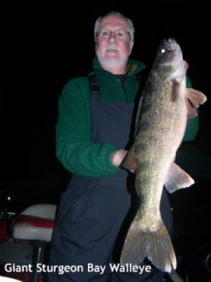 Giant Sturgeon Bay Walleye for buddy Bill Pocius