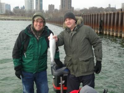 Milwaukee harbor, WI client with brown trout December 2011