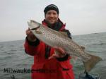 Nice Milwaukee Harbor brown trout caught by Captain Doug Kloet December 2012