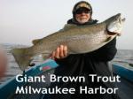 Giant Milwaukee Harbor brown trout caught by Bill Pocius December 2012