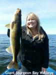 Giant Sturgeon Bay walleye for my wife Michelle